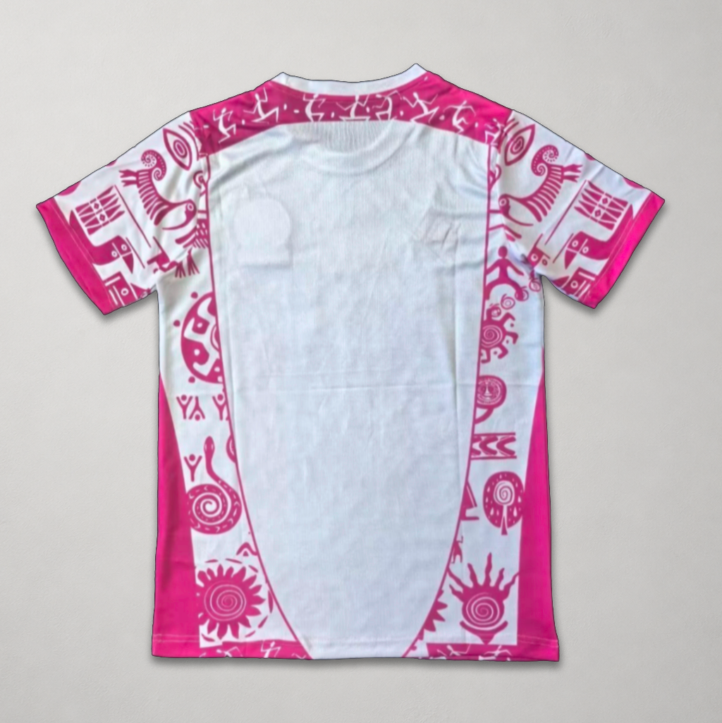 Mexico Pink Concept