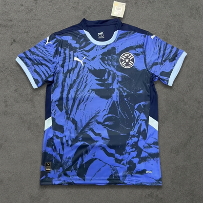 Paraguay Authentic Concept