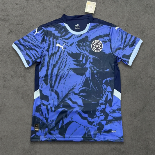 Paraguay Authentic Concept
