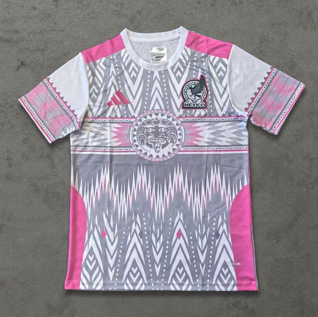 Mexico Pink Aztec Concept