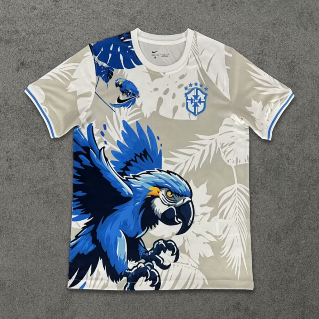 Brazil Rio Bird Concept