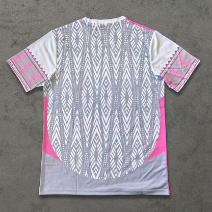 Mexico Pink Aztec Concept