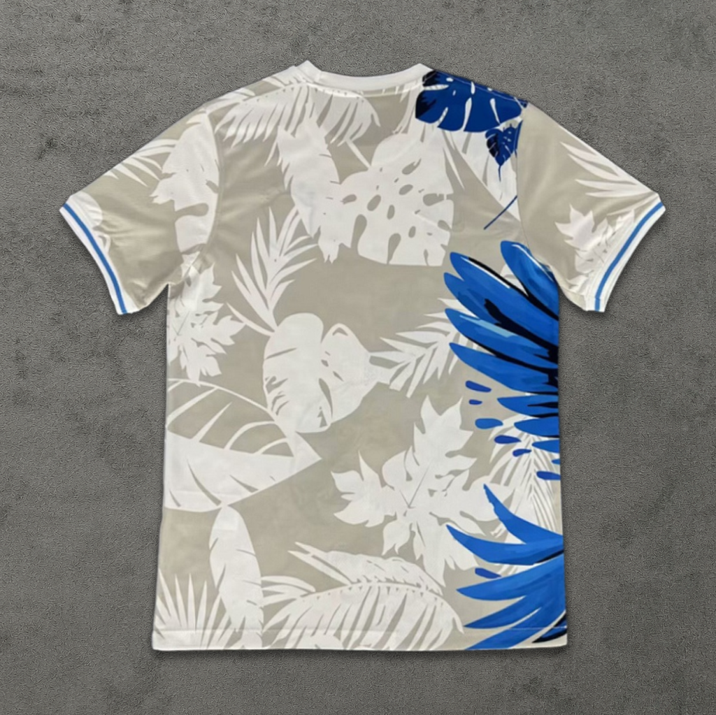 Brazil Rio Bird Concept