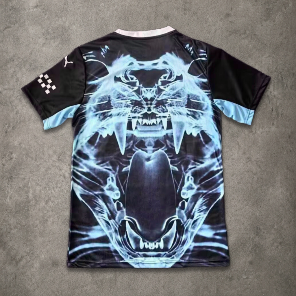 Manchester City Puma Concept